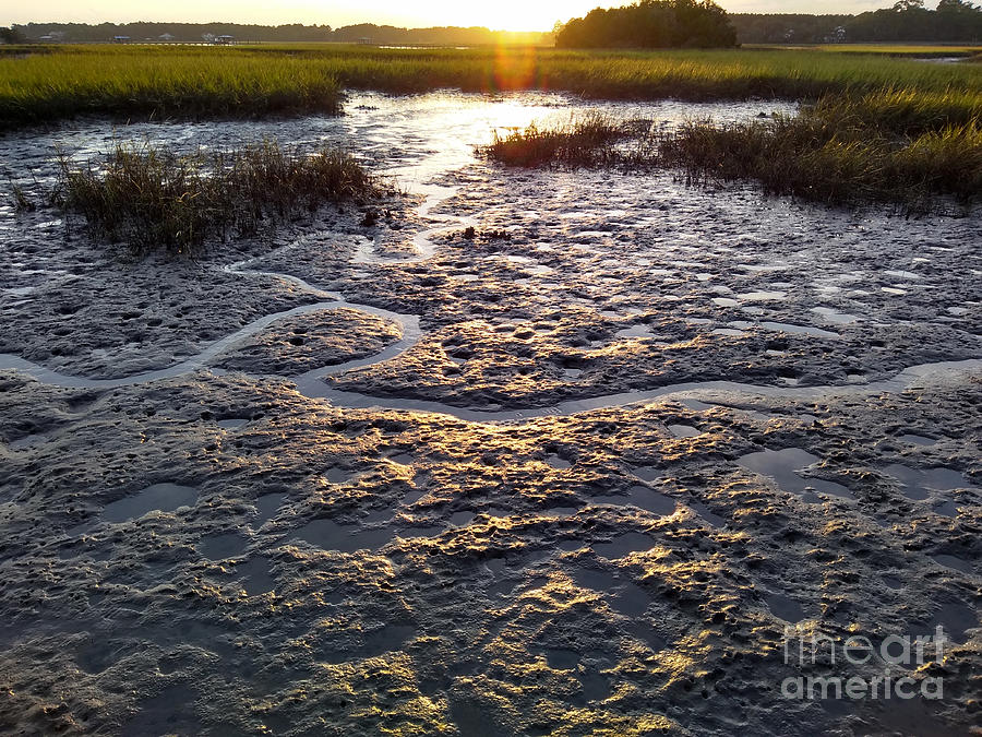 Sunset Photograph - Tidal Creek Bed by Robert Knight