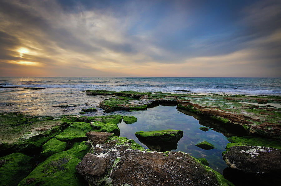 Tidal Pool On Rocky Beach At Sunset Photograph by Ilan Shacham