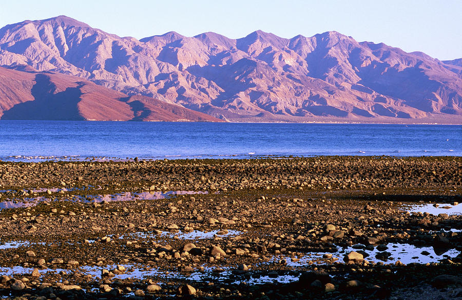 Tidal Pools And Distant Mountains, Sea Photograph by John Elk Iii