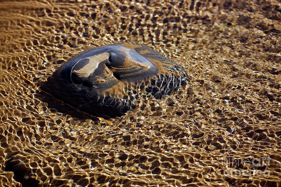 Tidal Ripples Around Boulder Photograph by Science Photo Library Tidal Ripples Around Boulder Photograph by Science Photo Library