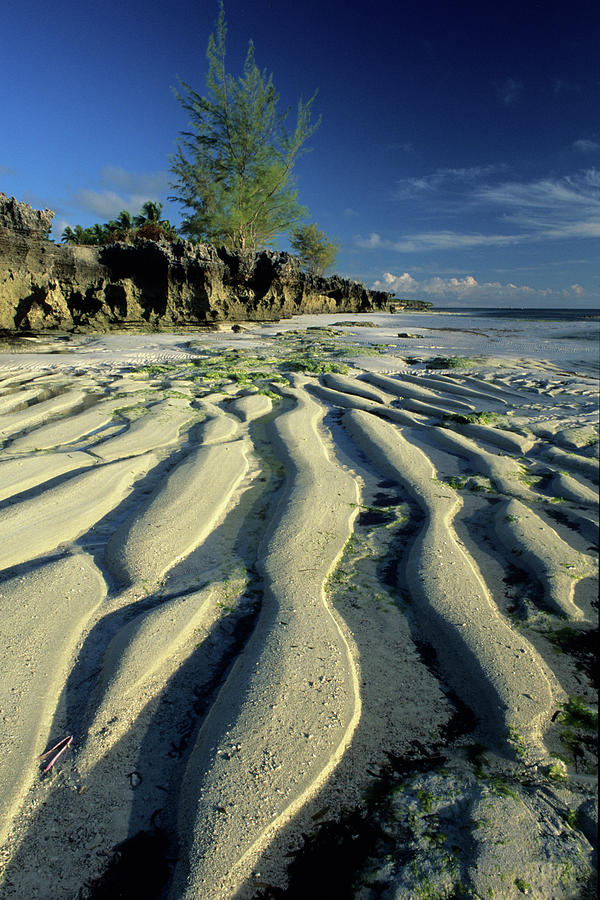 Tidal Wave Patterns In The Sand Photograph by David Cayless