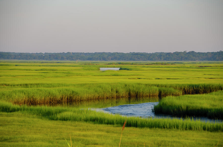 Tidal Wetlands - New Jersey Photograph by Bill Cannon