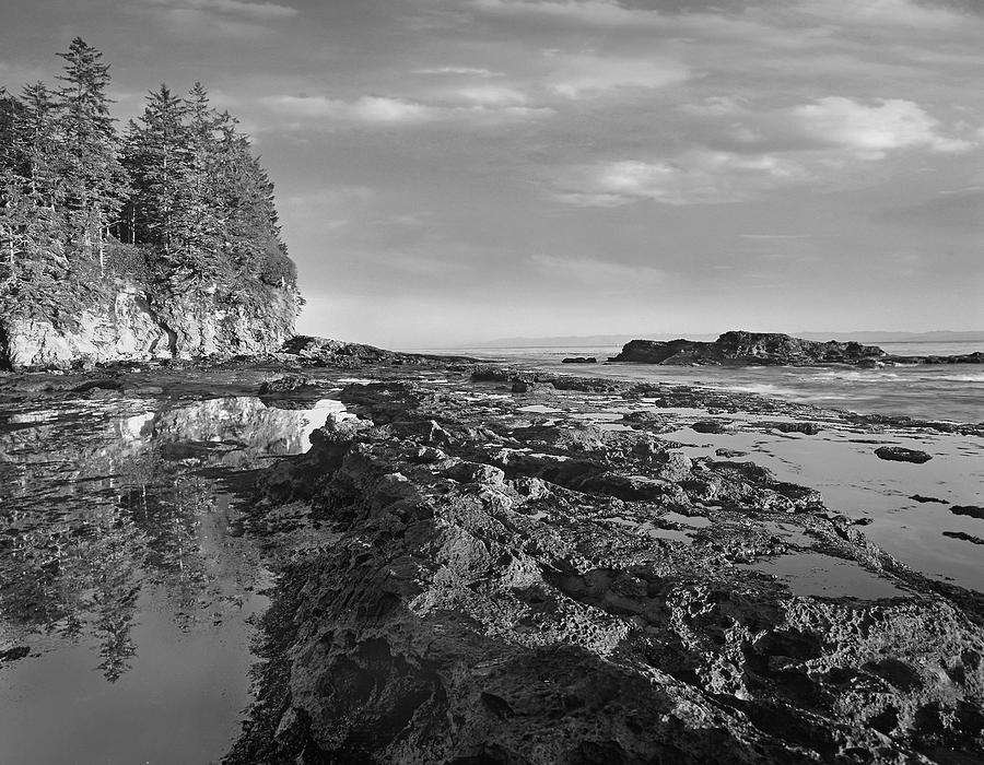 Tide Pools At Botanical Beach Photograph by Tim Fitzharris