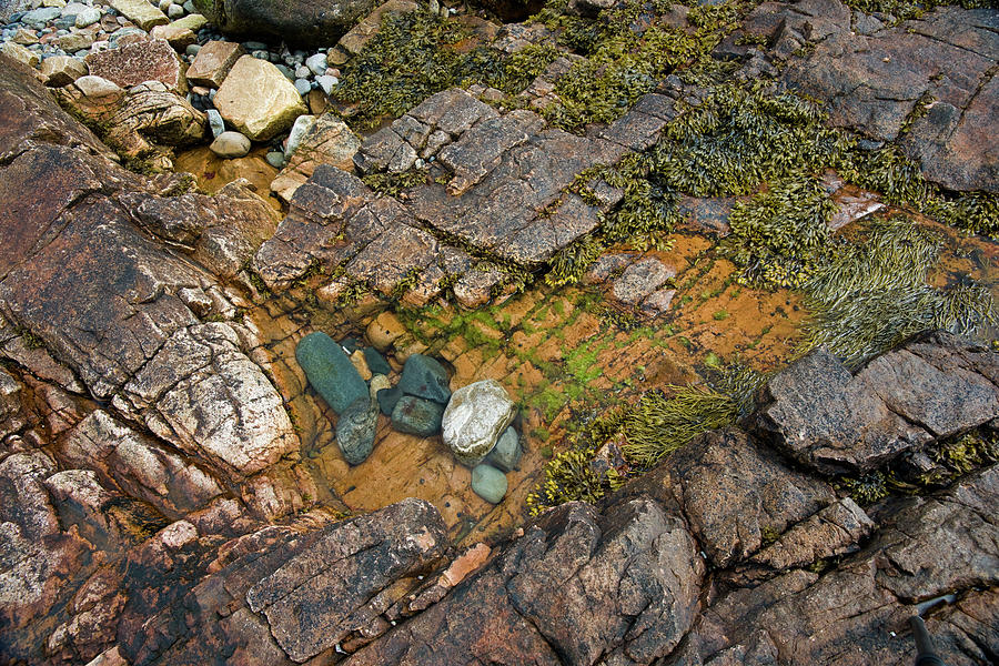 Joe S Guide To Acadia National Park Wonderland Trail Photos