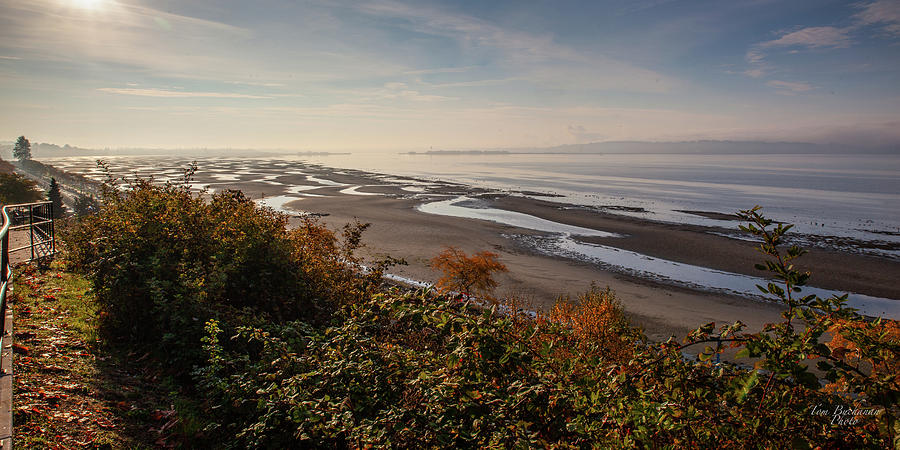 Tide's Out by Tom Buchanan Tide's Out by Tom Buchanan