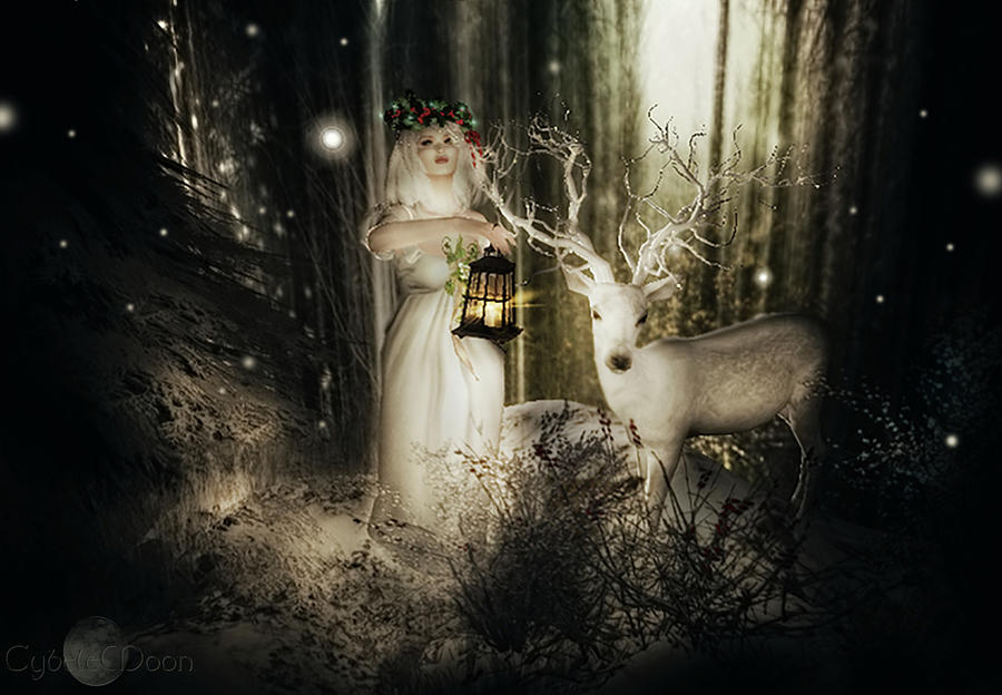 Tidings from the Forest Photograph by Cybele Moon