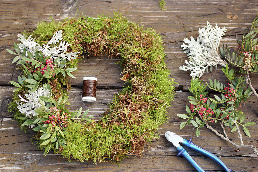 Tie A Wreath Of Wild Pistachio And Silver Leaves On Moss Photograph by Angelica Linnhoff