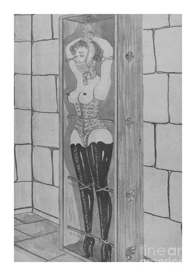 Tied in the Box by Anonymous Tied in the Box by Anonymous