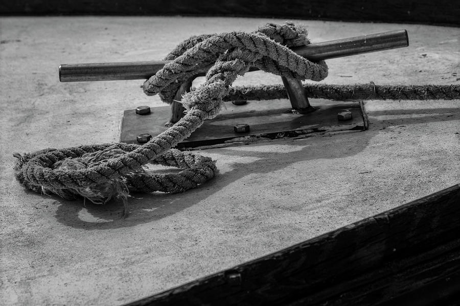 Tied Up And All Docked Up BW Photograph by Susan Candelario