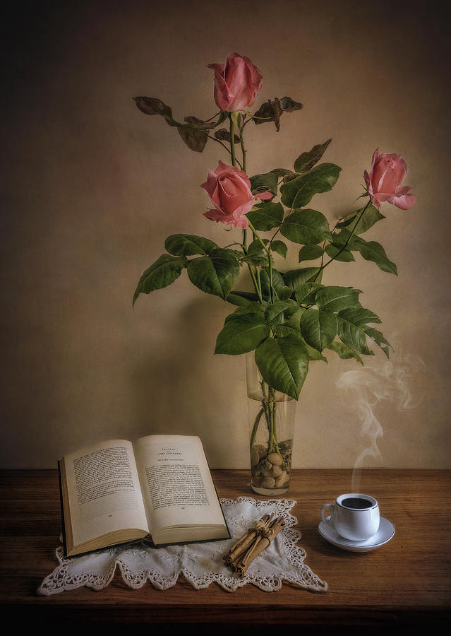 Rose Photograph - Tiempo De Rosas... by Juan Luis Seco
