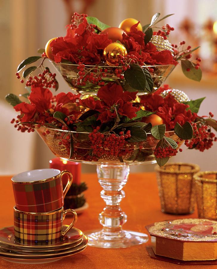 Tiered Glass Stand With Poinsettia And Cotoneaster Photograph by Friedrich Strauss