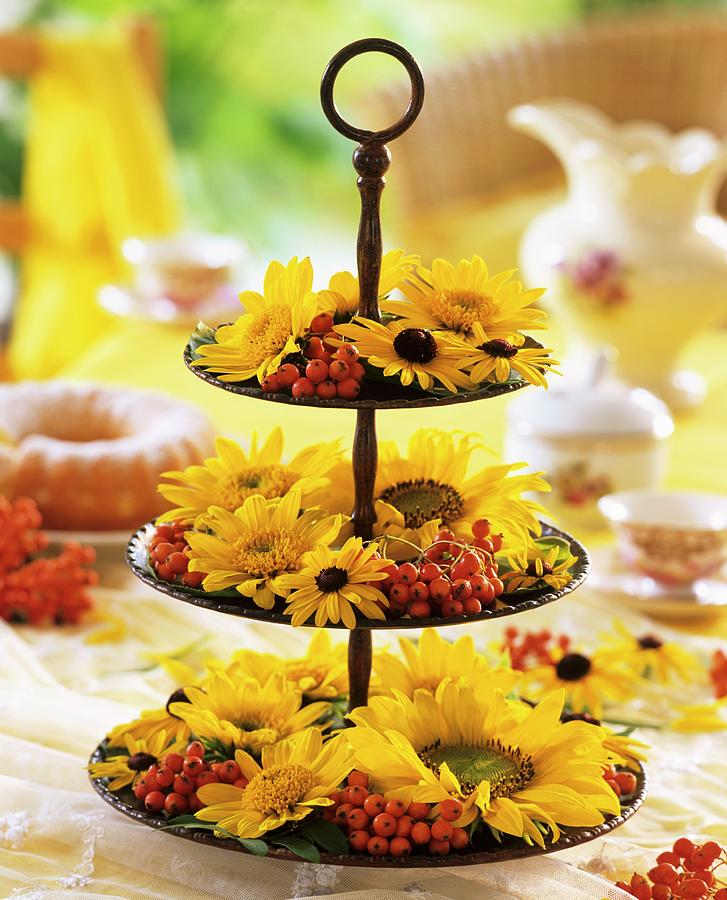 Tiered Metal Stand With Sunflowers And Rudbeckia Photograph by Friedrich Strauss