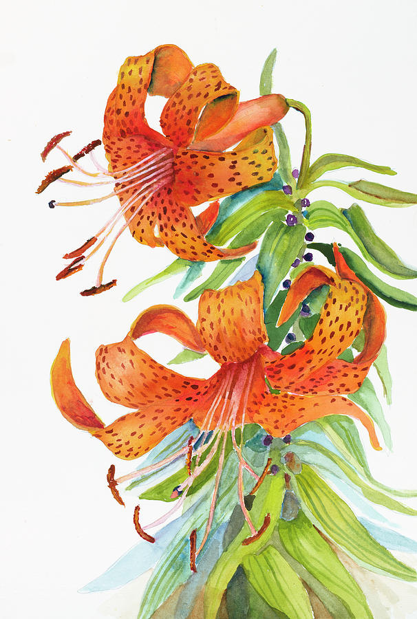 Flower Painting - Tigar Lilies by Joanne Porter