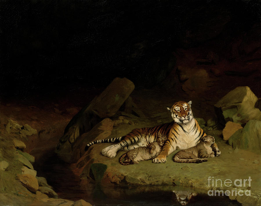 Tiger And Cubs Drawing by Heritage Images