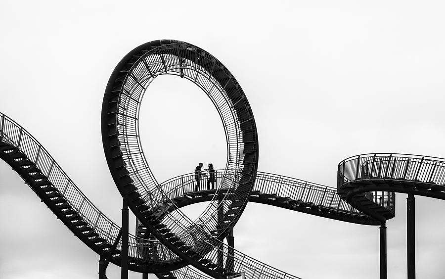 Tiger And Turtle Photograph by Alfons Paesen