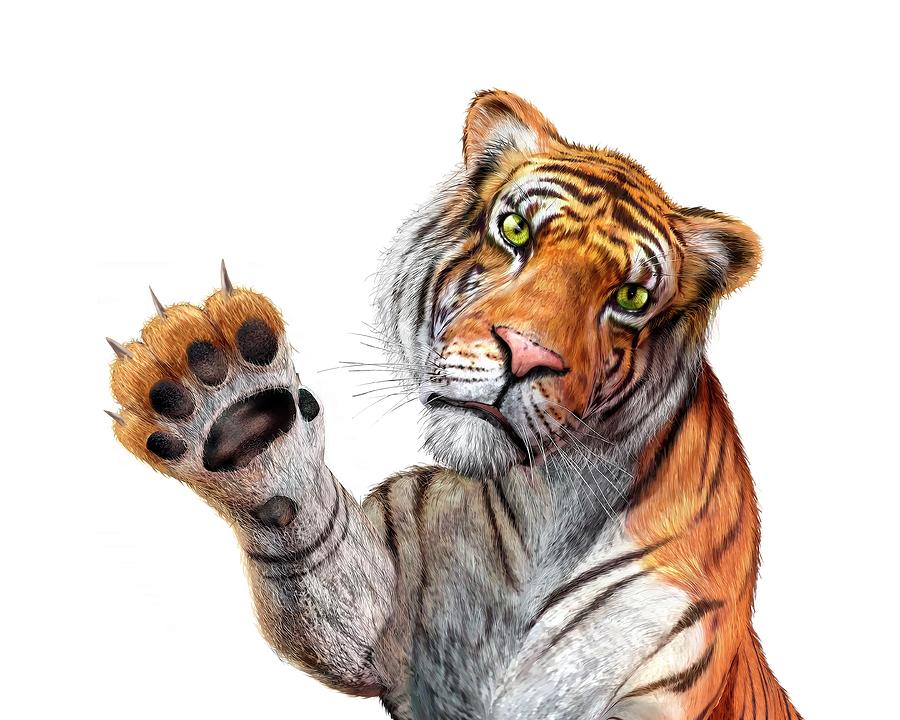 Tiger, Artwork Digital Art by Leonello Calvetti - Pixels