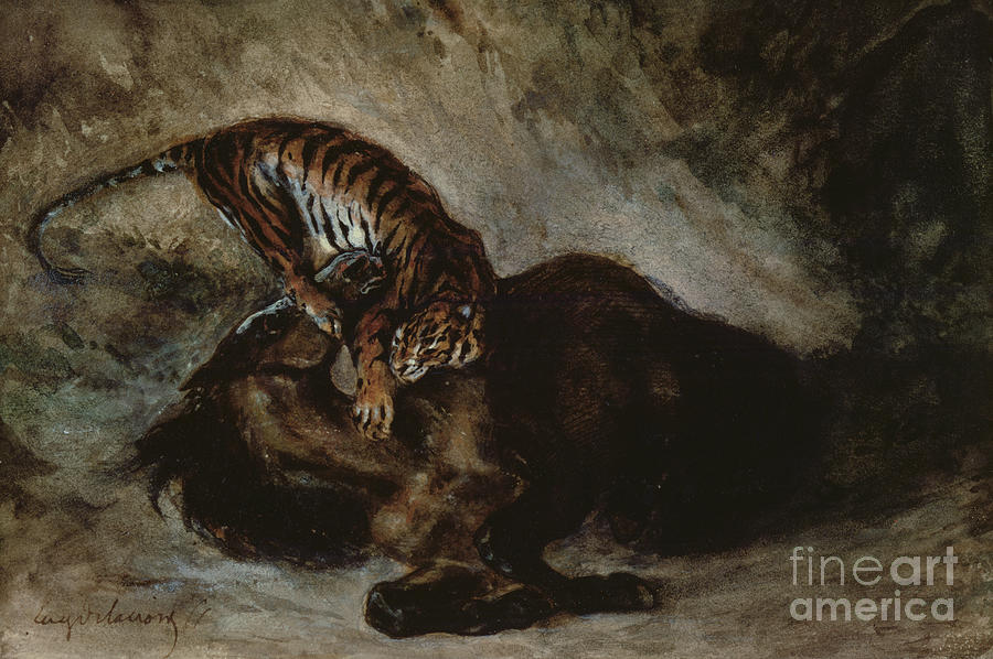 Tiger Attacking A Horse Painting By Ferdinand Victor Eugene Delacroix