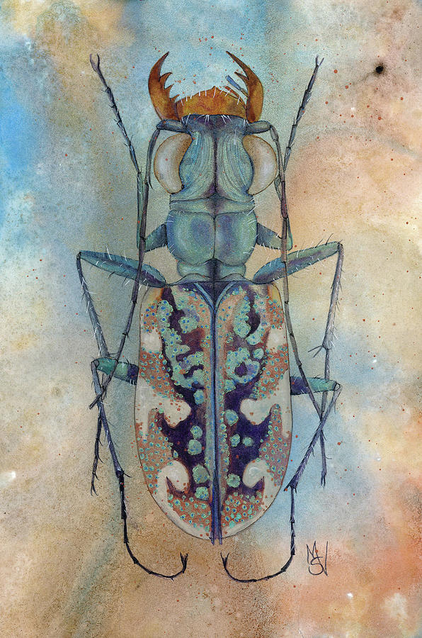 Entomology Painting - Tiger Beetle by Marie Stone-van Vuuren