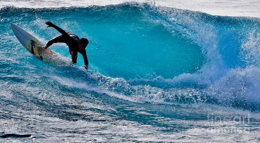 Tiger Board Surfer Photograph by Debra Banks