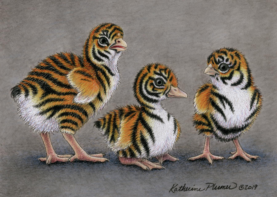 Chicken Drawing - Tiger Chicks by Katherine Plumer