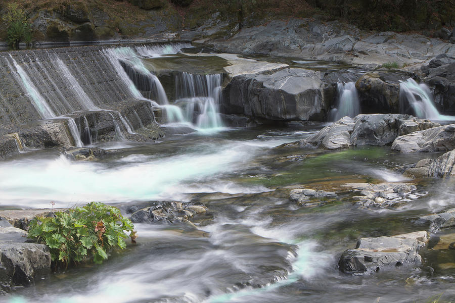 Tiger Creek In Fall #2 Digital Art by SC Heffner