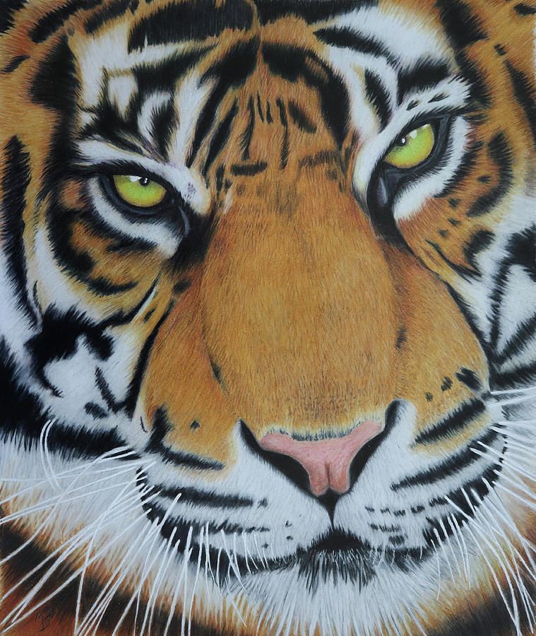 Tiger King Painting - Tiger King by Melanie Feltham Tiger King Painting - Tiger King by Melanie Feltham