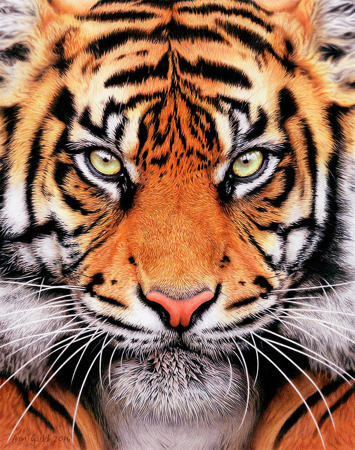 Tiger Face Painting by Aron Gadd