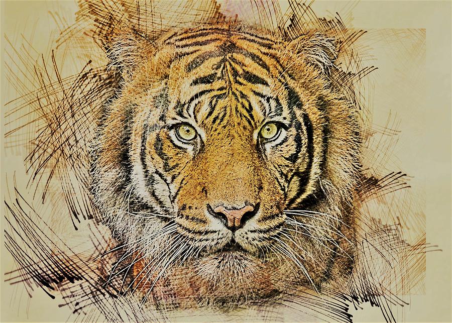 Wildlife Painting - Tiger Head by ArtMarketJapan