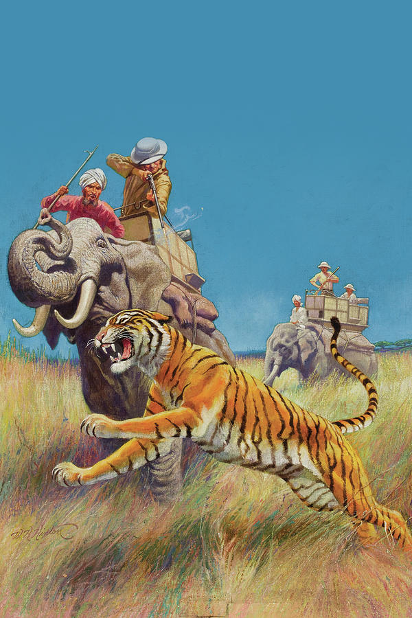 Tiger Hunt Painting by Walter Haskel Hinton