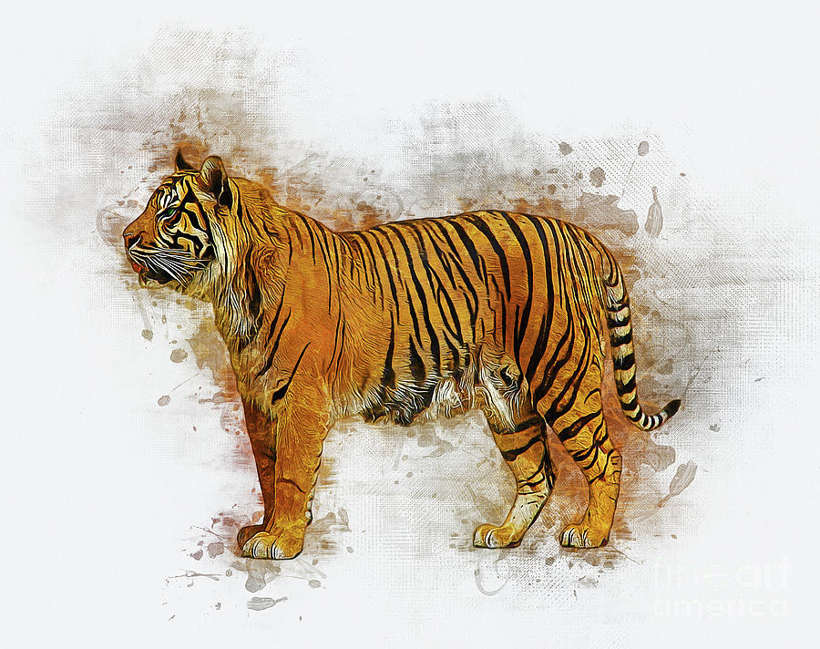 Tiger Digital Art by Ian Mitchell