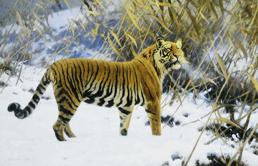 Animal Painting - Tiger In A Winter Landscape, 1912 by Hugo Ungewitter