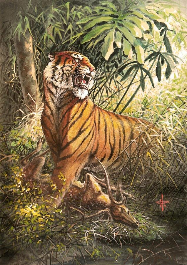 Tiger Walking Grass Stock Illustrations – 437 Tiger Walking Grass Stock  Illustrations, Vectors & Clipart - Dreamstime