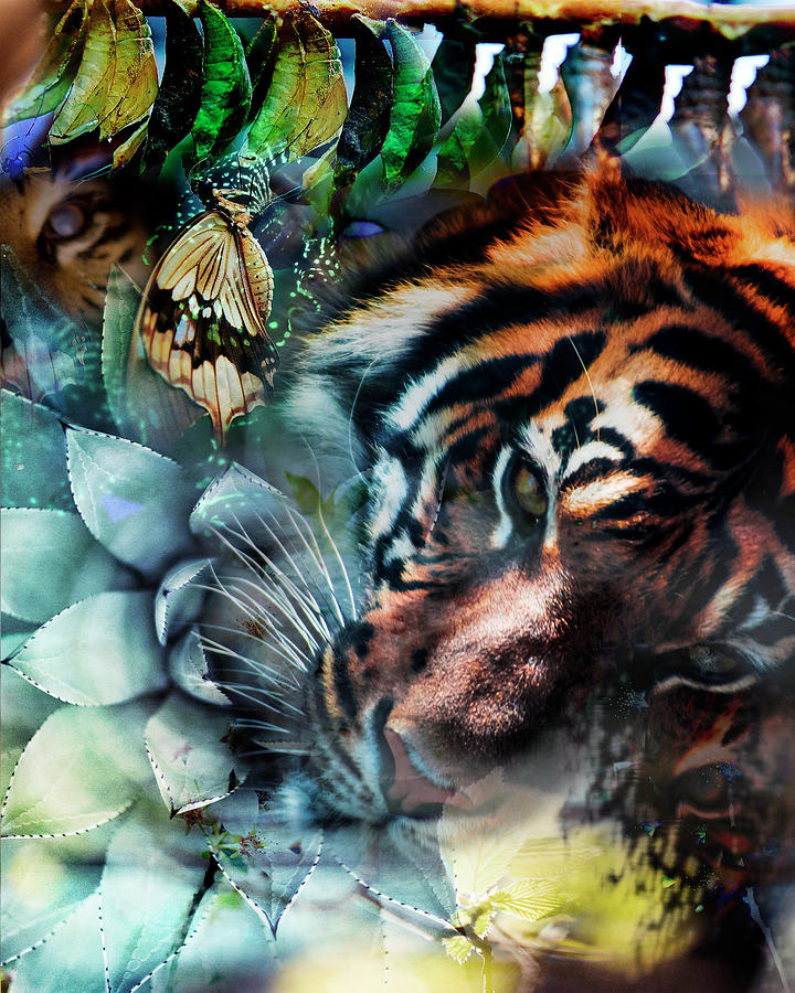 Tiger In The Shadows Digital Art