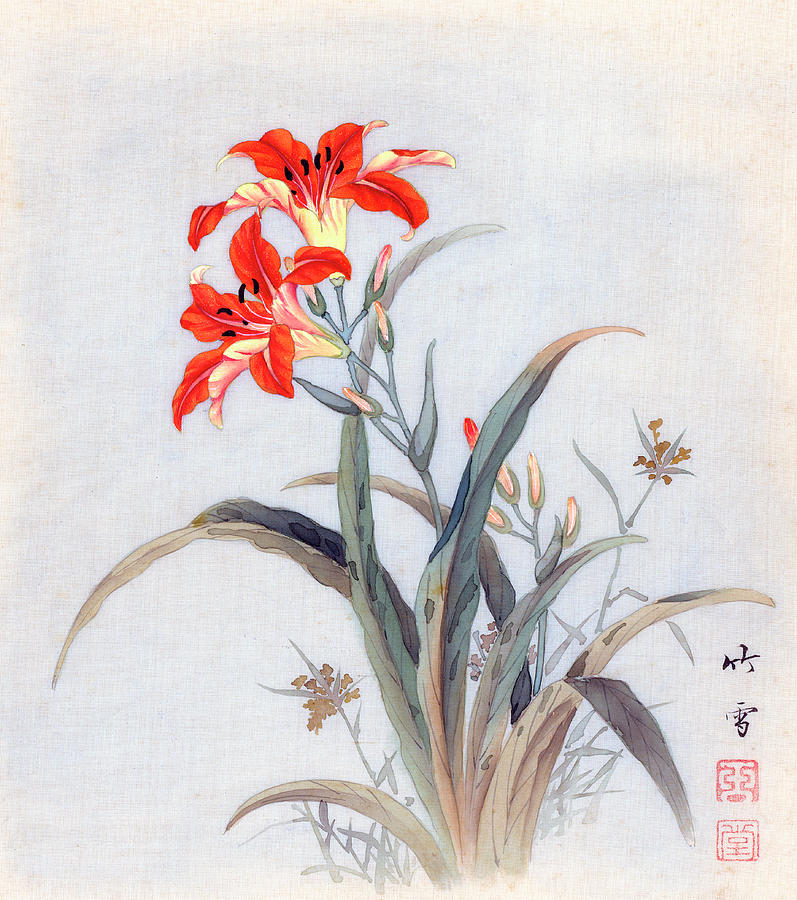 Tiger Lily Painting by Chikutei