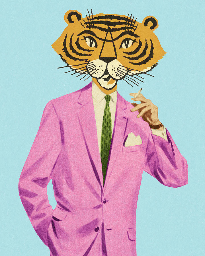 Vintage Drawing - Tiger Man Wearing Pink Suit by CSA Images