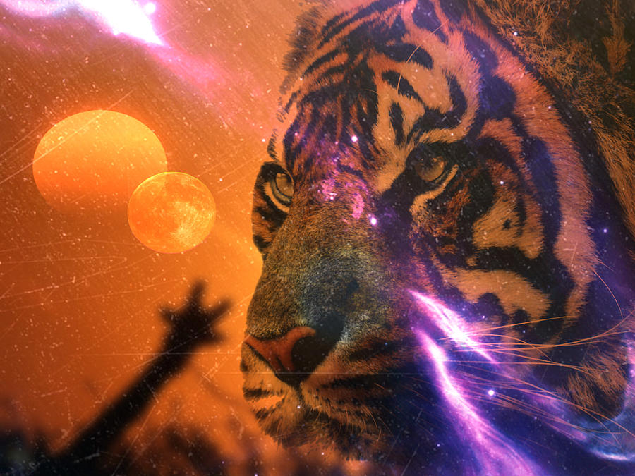 TIGER MOON by Elie Wolf TIGER MOON by Elie Wolf