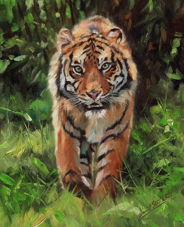 Tiger Painting - Tiger Out of The Bush by David Stribbling