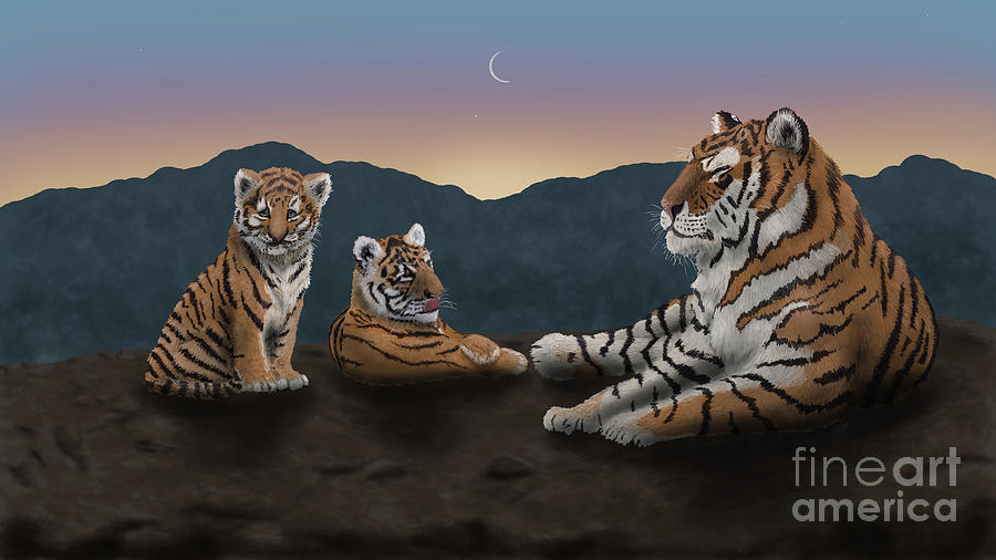 Tiger Twilight - Siberian Tiger and Two Cubs by the Ford Family Tiger Twilight - Siberian Tiger and Two Cubs by the Ford Family