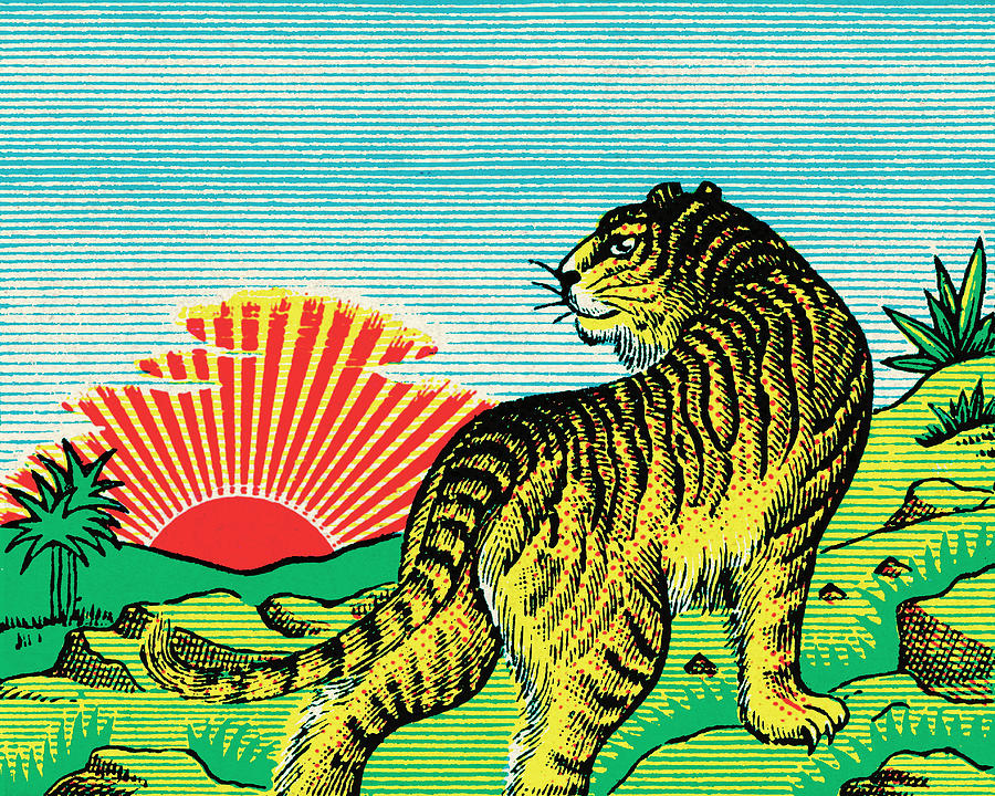 Vintage Drawing - Tiger Watching the Rising Sun by CSA Images