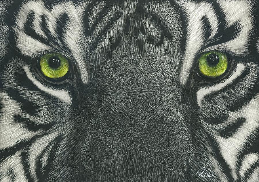 Tiger's Eyes Drawing by Robyn Bromham Fine Art America