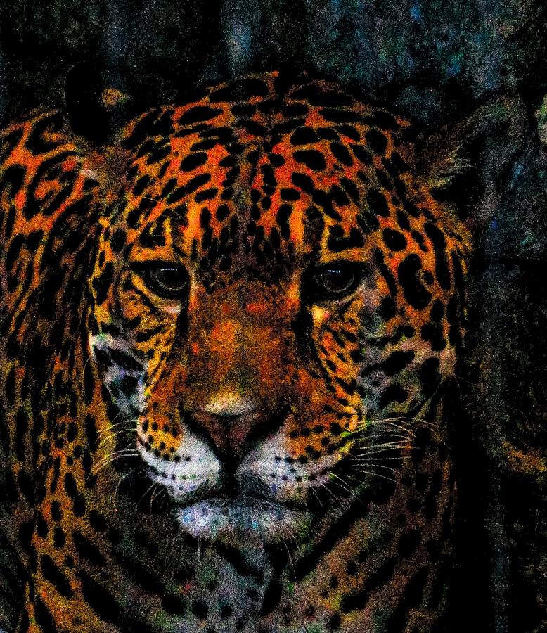 Tigress Photograph by Charles Duax