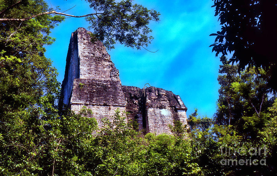 Tikal Two Photograph by Rick Bragan