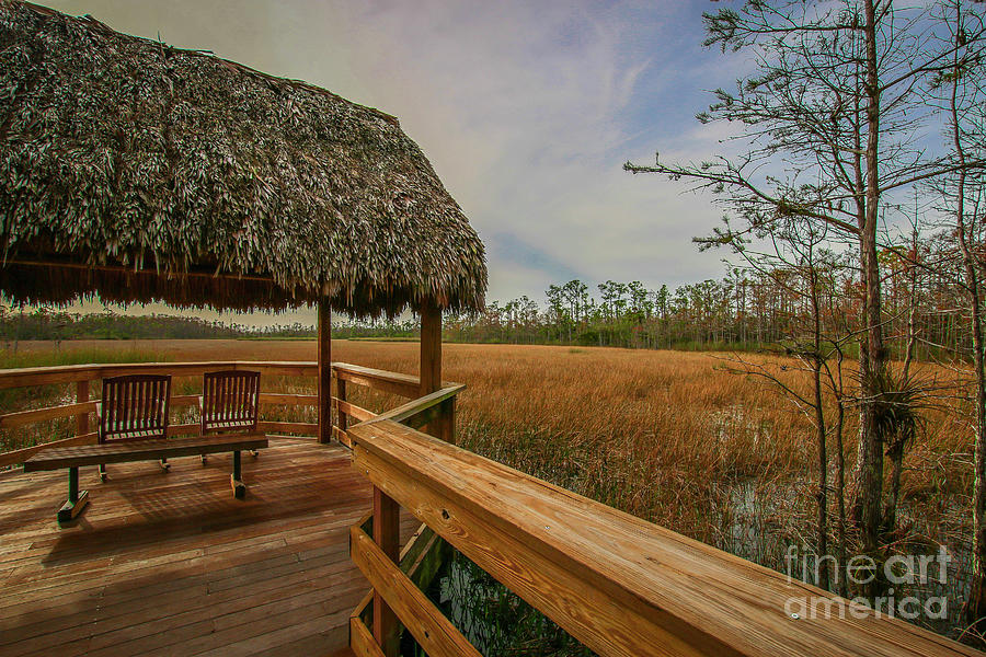 Tiki Hut Marsh View Photograph by Tom Claud