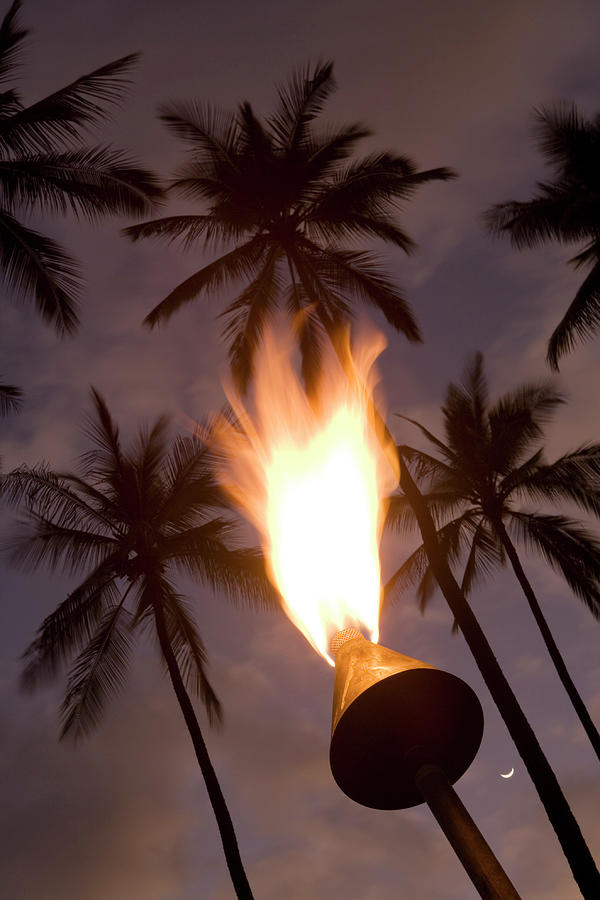 Tiki Torch And Palm Trees At Dusk At Photograph by Holger Leue