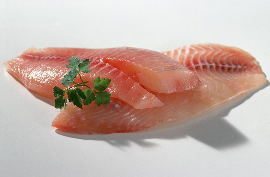 Tilapia Fillets, Uganda Photograph by Teubner Foodfoto Fine Art America