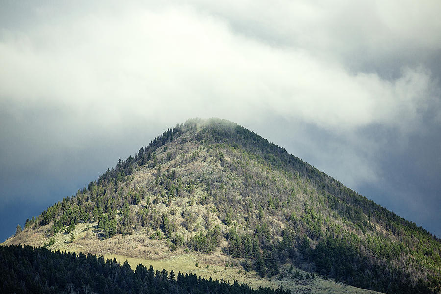 Timber Butte Photograph by Todd Klassy