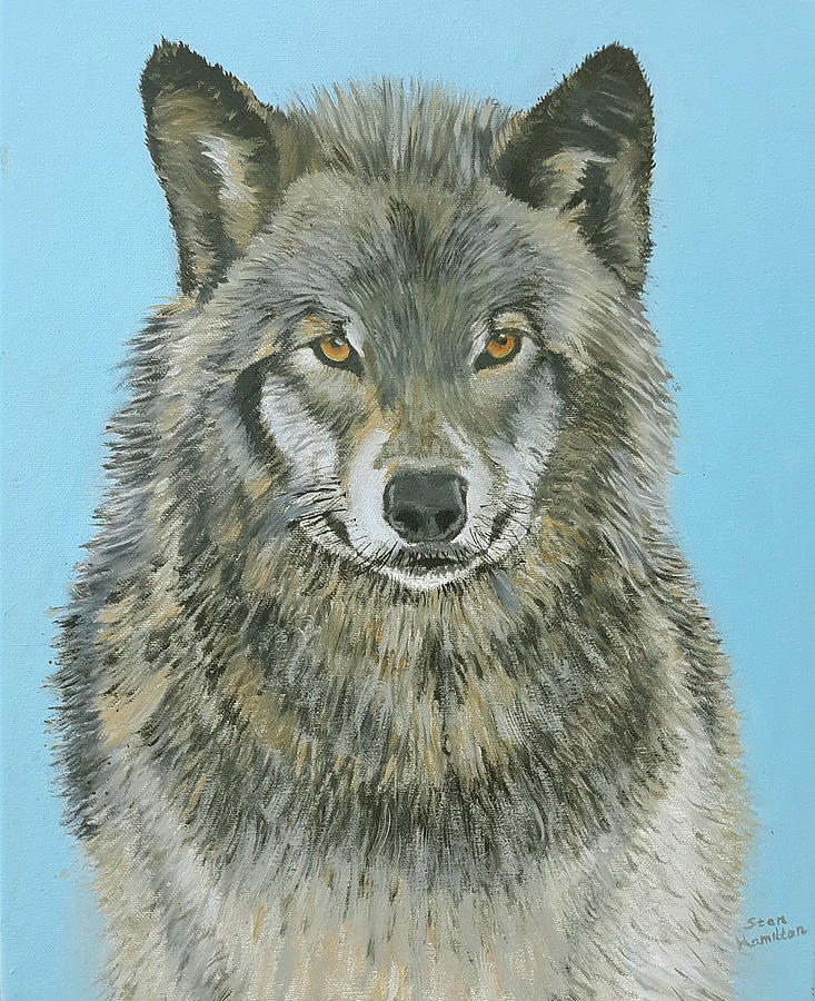 Wildlife Painting - Timber Wolf 4 by Stan Hamilton