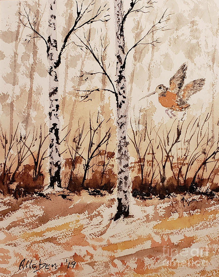 Timberdoodle by Stanton Allaben Timberdoodle by Stanton Allaben