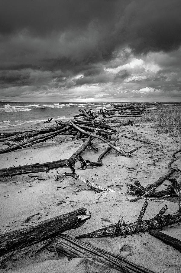 Timbers on the beach Photograph by David Heilman