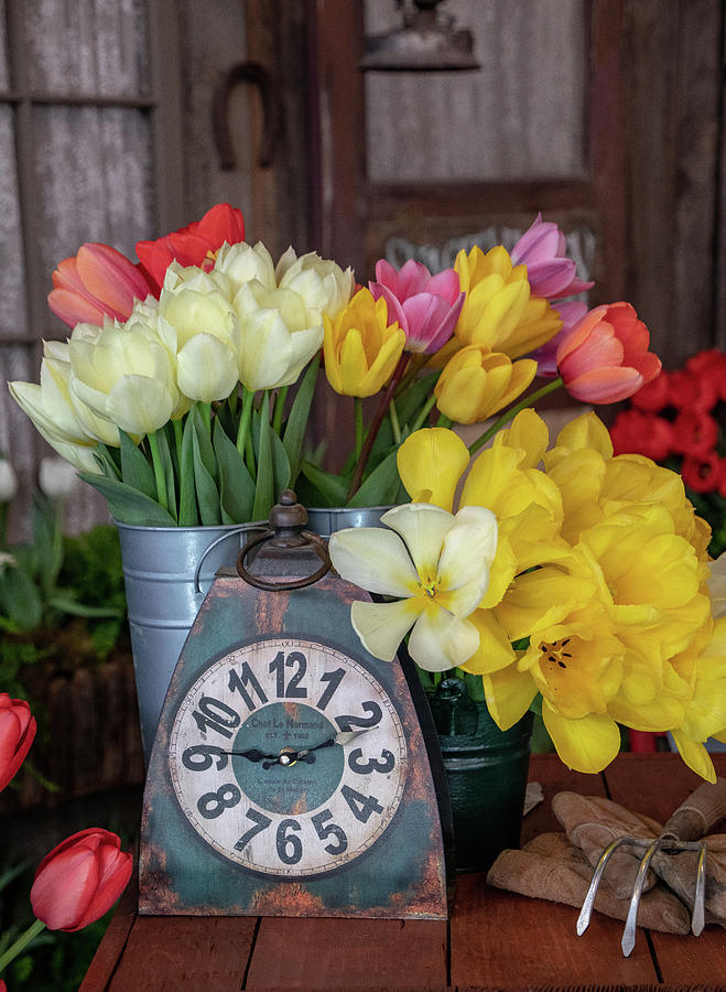 Time for Some Tulips by TL Wilson Photography Photograph by Teresa Wilson